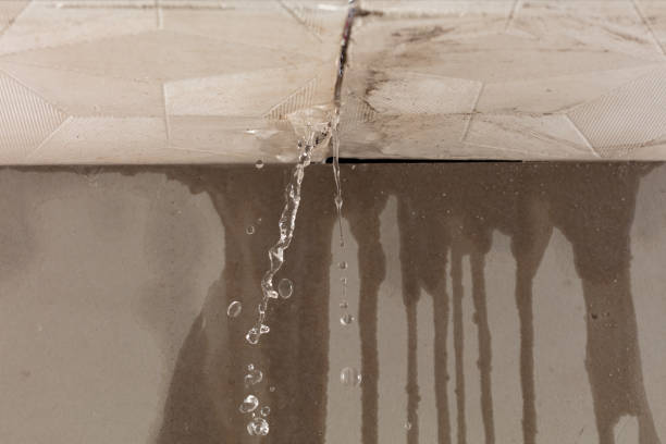 Professional Sewage Cleanup technician working in Lexington, MA